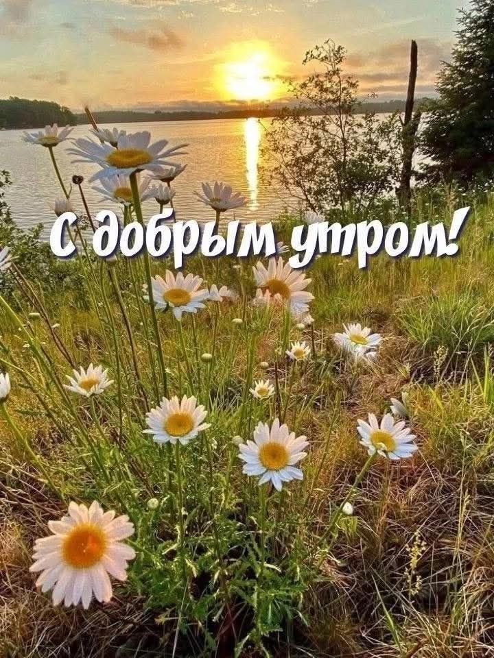 С добрым утром!