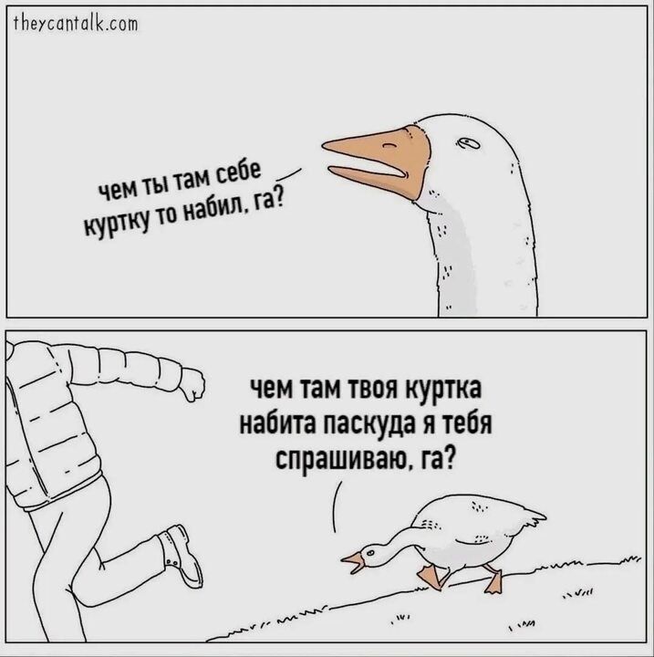 чем ты там себе куртку то набил, га?
чем там твоя куртка набита паскуда я тебя спрашиваю, га?