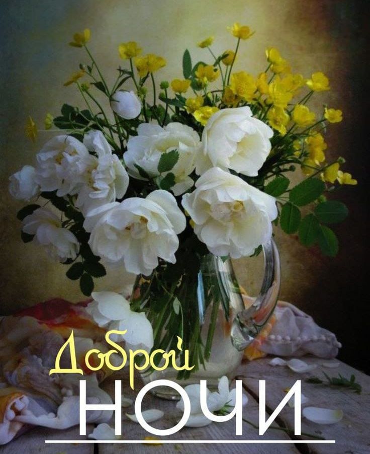Доброй Ночи