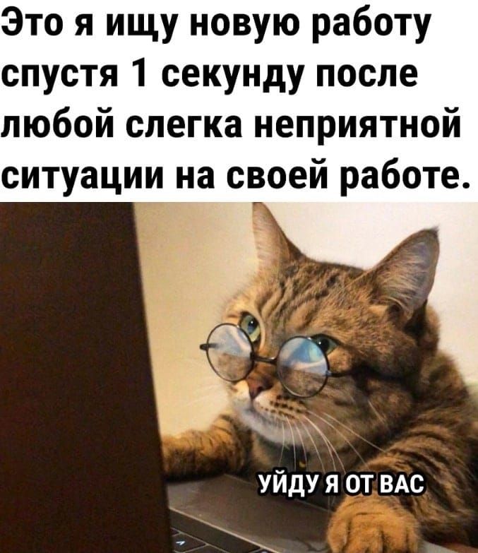 Это я ищу новую работу спустя 1 секунду после любой слегка неприятной ситуации на своей работе.

УЙДУ Я ОТ ВАС