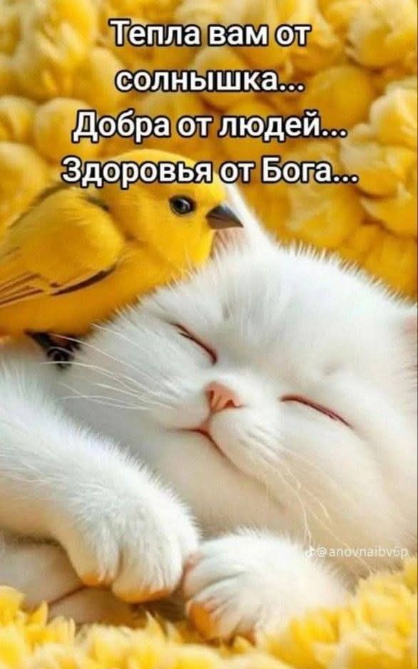Тепла вам от солнышка...
Добра от людей...
Здоровья от Бога...