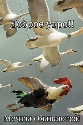 Доброе утро!! Мечты сбываются!