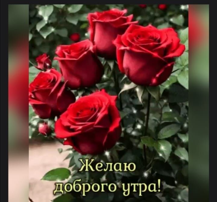 Желаю доброго утра!