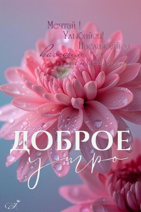 Мечтай! Улыбайся! Наслаждайся каждым мгновением! ДОБРОЕ УТРО