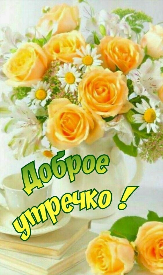 Доброе утречко !