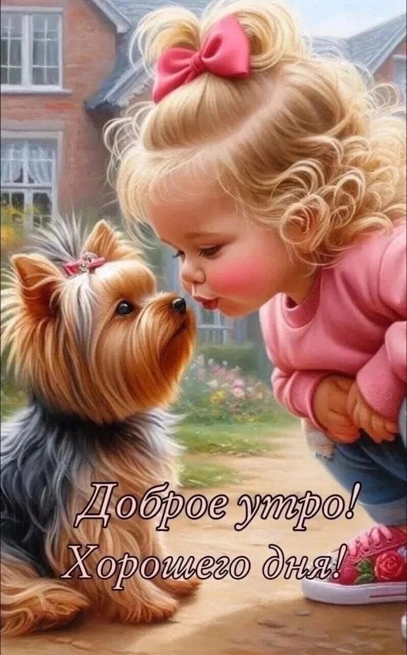 Доброе утро! Хорошего дня!