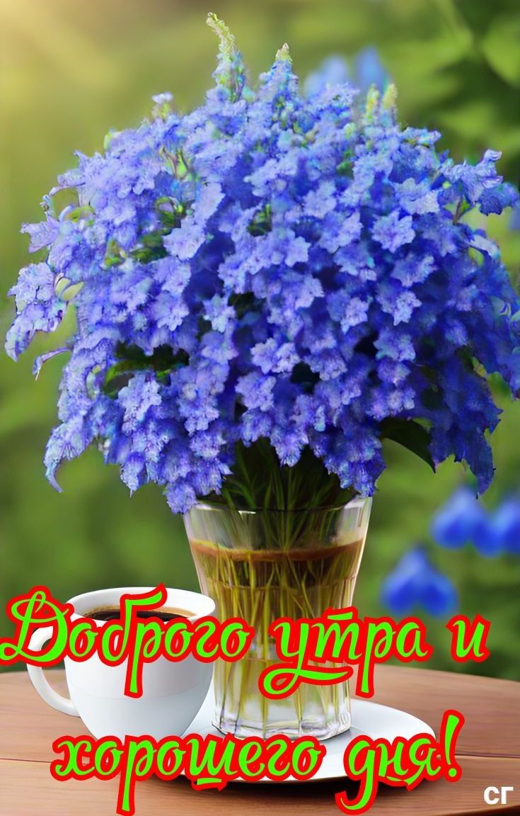 Доброе утро и хорошего дня!