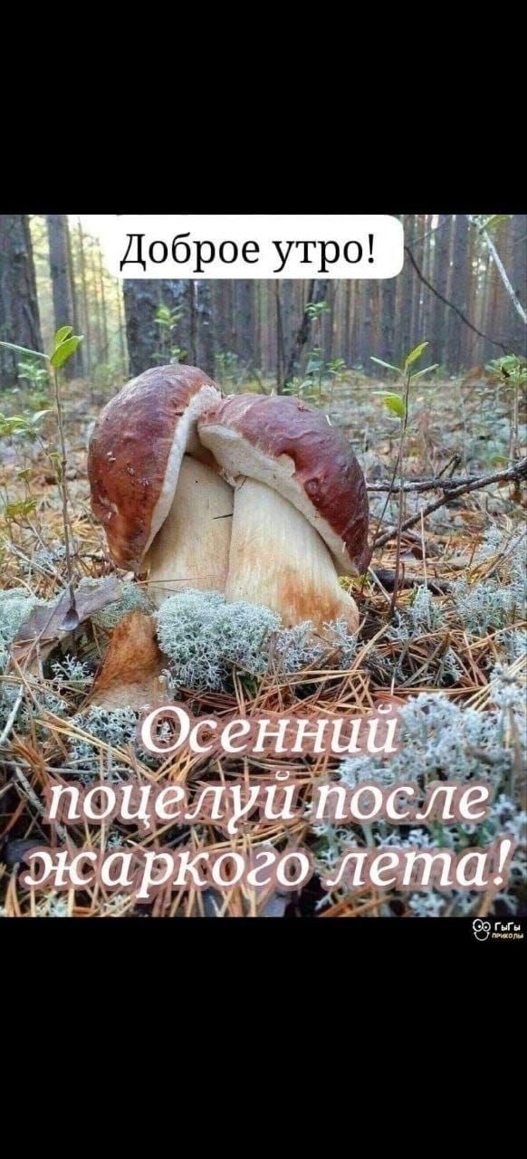 Доброе утро! Осенний поцелуй после жаркого лета!