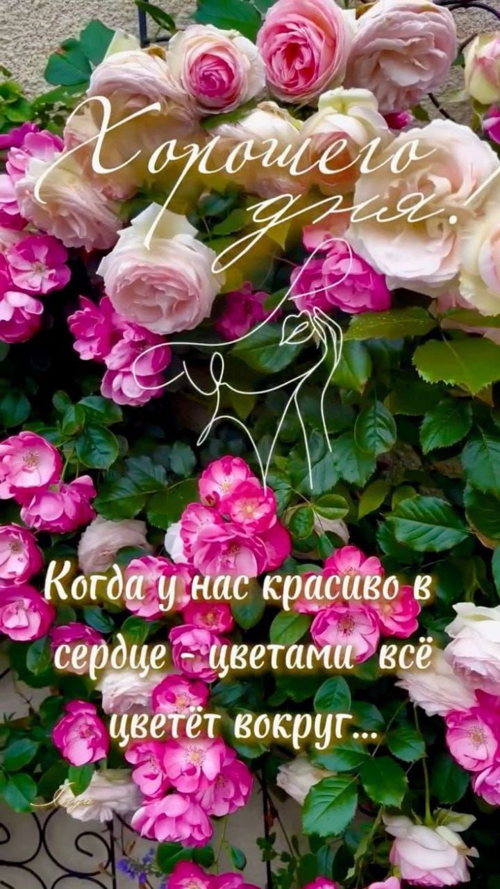 Хорошего дня! Когда у нас красиво в сердце — цветами всё цветёт вокруг...