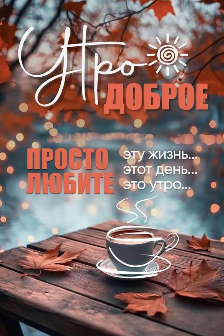 Утро ДОБРОЕ
ПРОСТО ЛЮБИТЕ
эту жизнь...
этот день...
это утро...