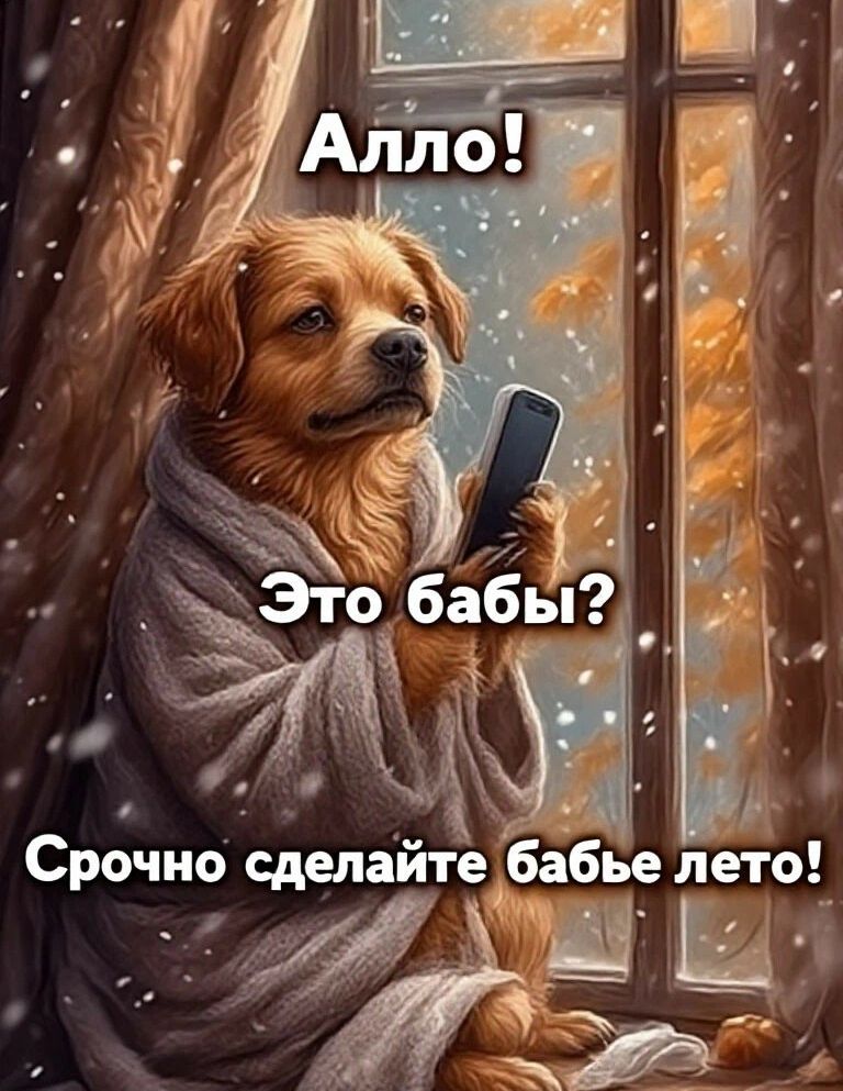 Алло! Это бабы? Срочно сделайте бабе лето!