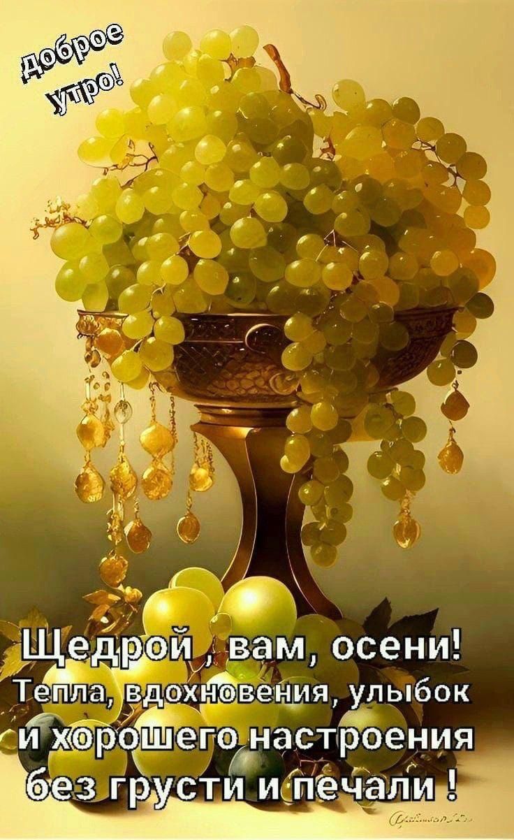 Доброе утро!

Щедрой, вам, осени! Тепла, вдохновения, улыбок и хорошего настроения без грусти и печали !