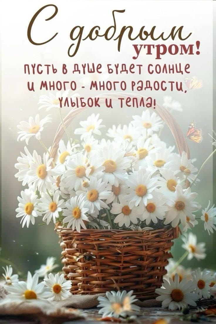 С добрым утром! пусть в душе будет солнце и много - много радости, улыбок и тепла!