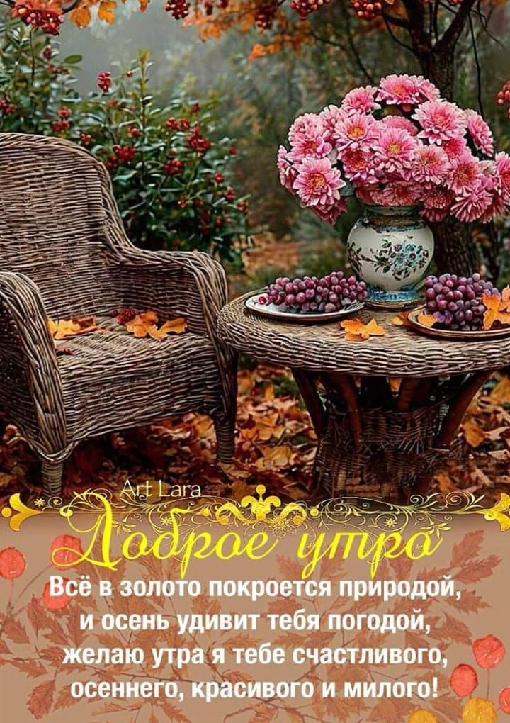 Доброе утро
Всё в золото покроется природой, и осень удивит тебя погодой, желаю утра тебе счастливого, осеннего, красивого и милого!