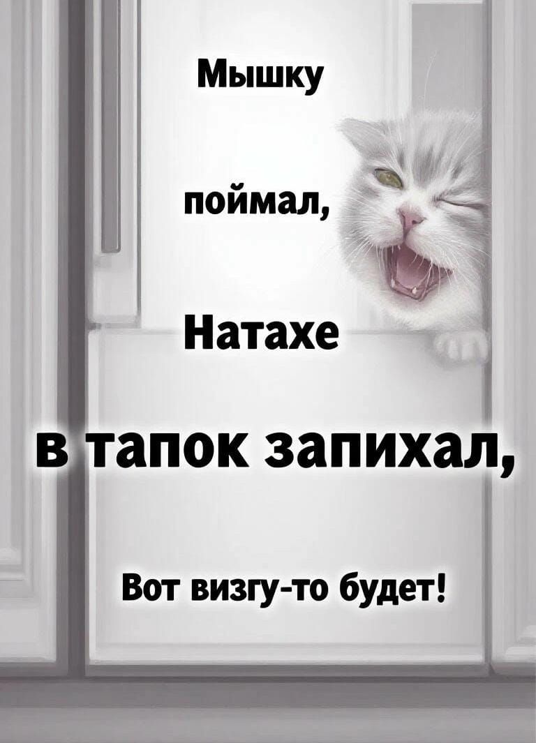 Мышку поймал, Наташе в тапок запихал, Вот визгу-то будет!