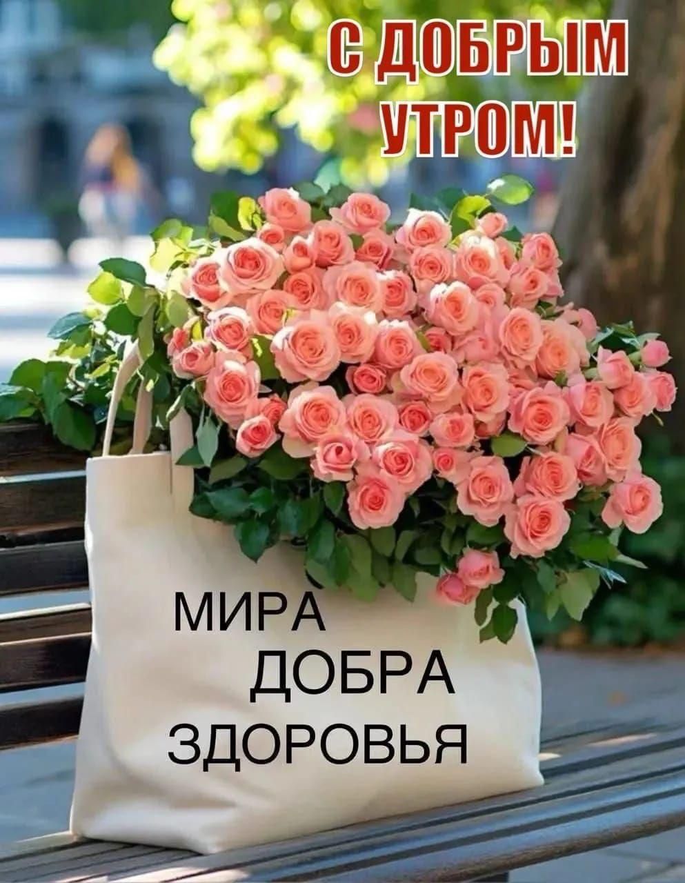 С ДОБРЫМ УТРОМ! МИРА ДОБРА ЗДОРОВЬЯ