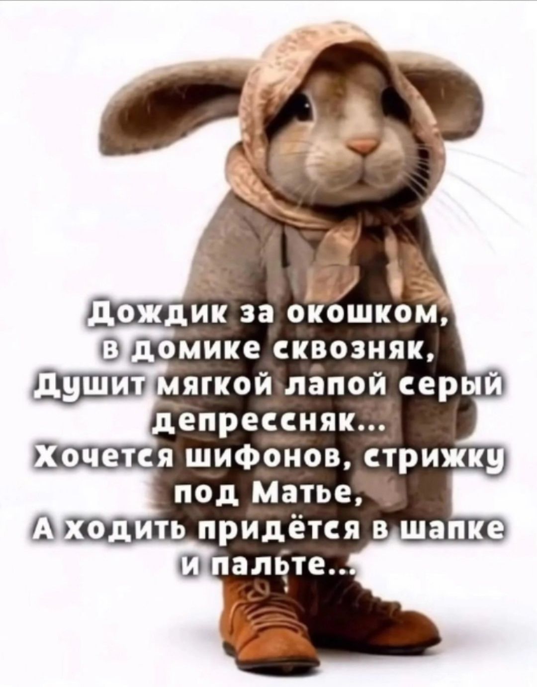Дождик за окошком, в домике сквозняк, Душит мягкой лапой серый депрессняк... Хочется шифонов, стрижку под Матве, А ходить придётся в шапке и пальте...