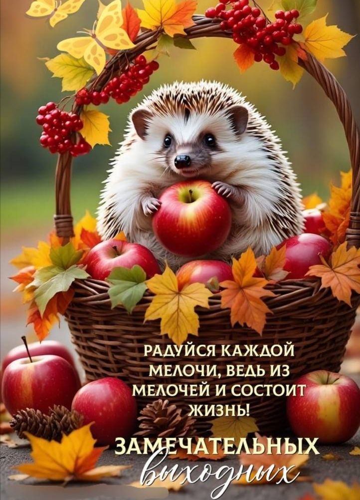 РАДУЙСЯ КАЖДОЙ МЕЛОЧИ, ВЕДЬ ИЗ МЕЛОЧЕЙ И СОСТОИТ ЖИЗНЬ! ЗАМЕЧАТЕЛЬНЫХ выходных