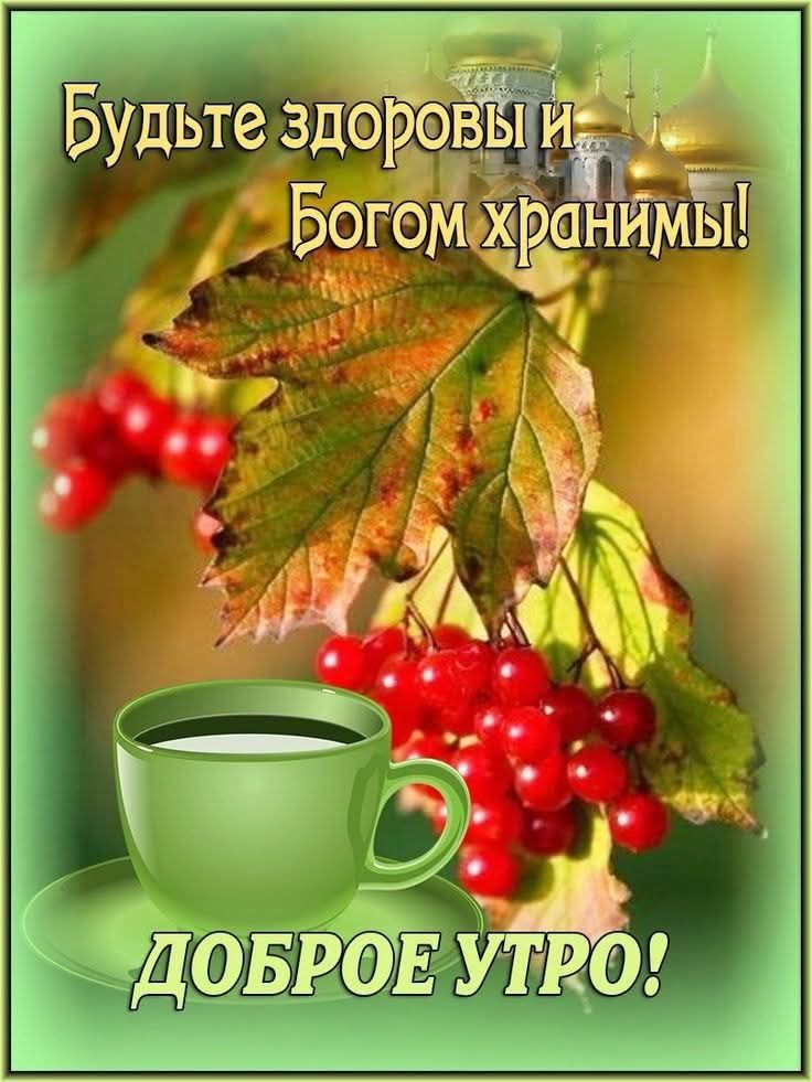 Будьте здоровы и Богом хранимы! ДОБРОЕ УТРО!