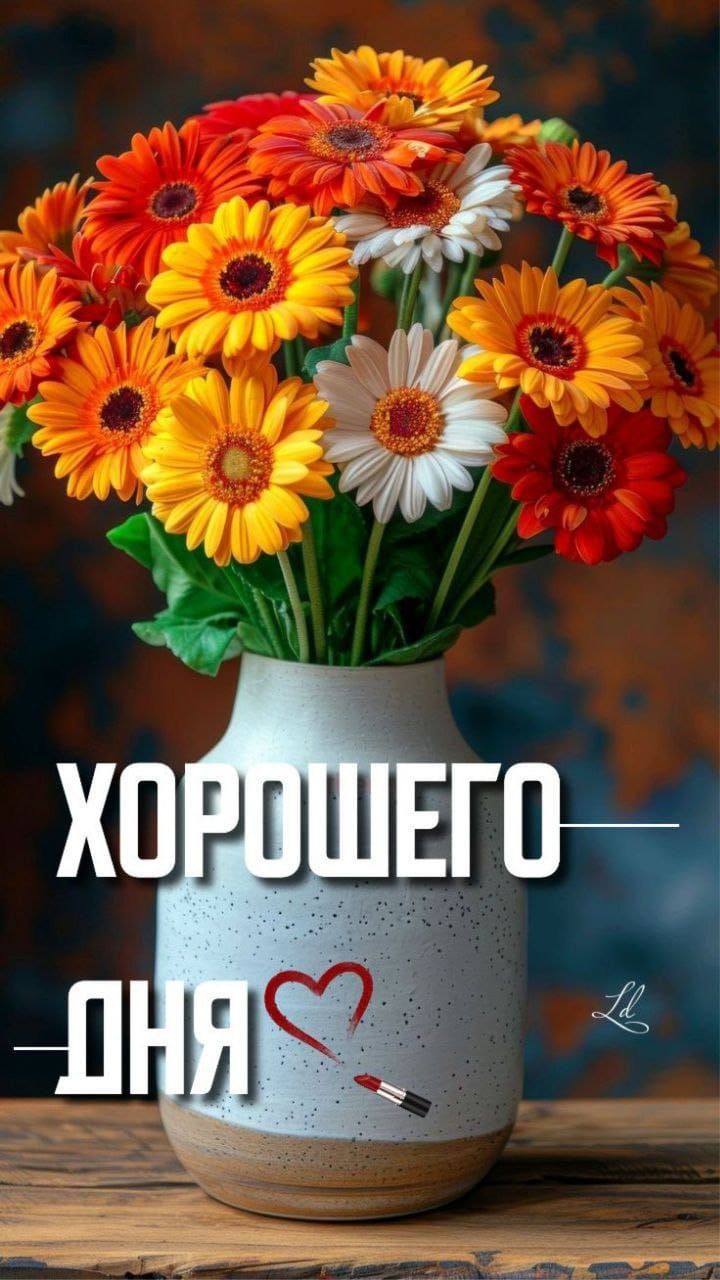 ХОРОШЕГО ДНЯ