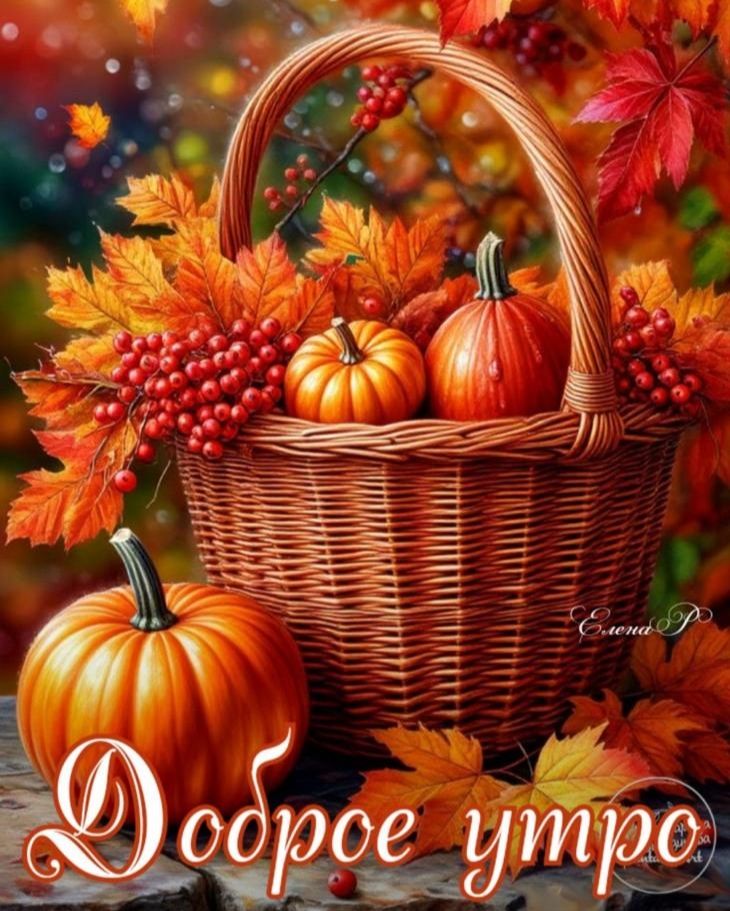 Доброе утро