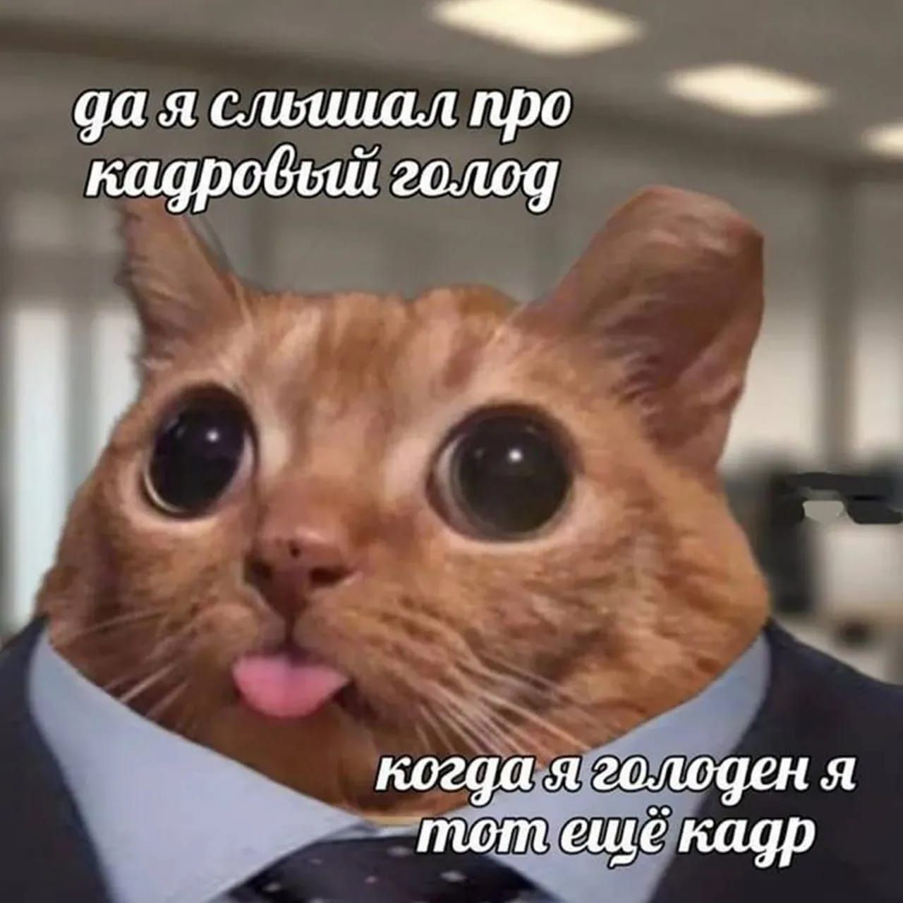 да я слышал про кадровый голод когда я голоден я тот ещё кадр