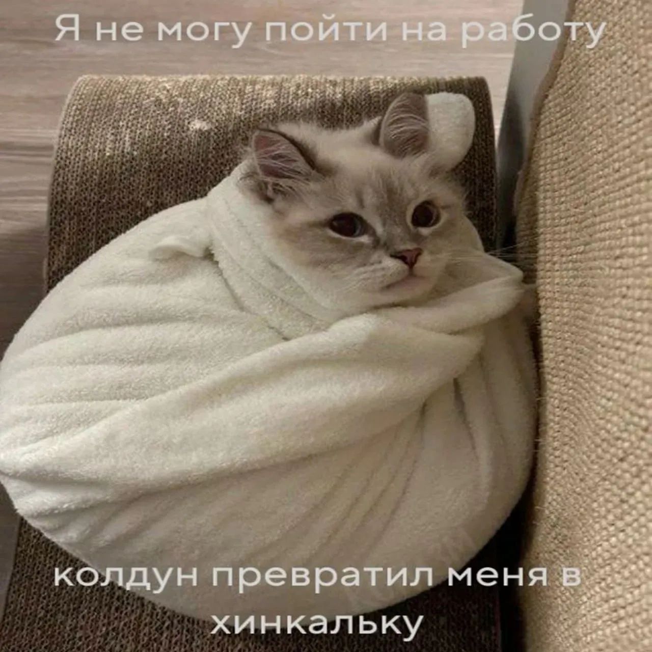 Я не могу пойти на работу. Колдун превратил меня в хинкалку