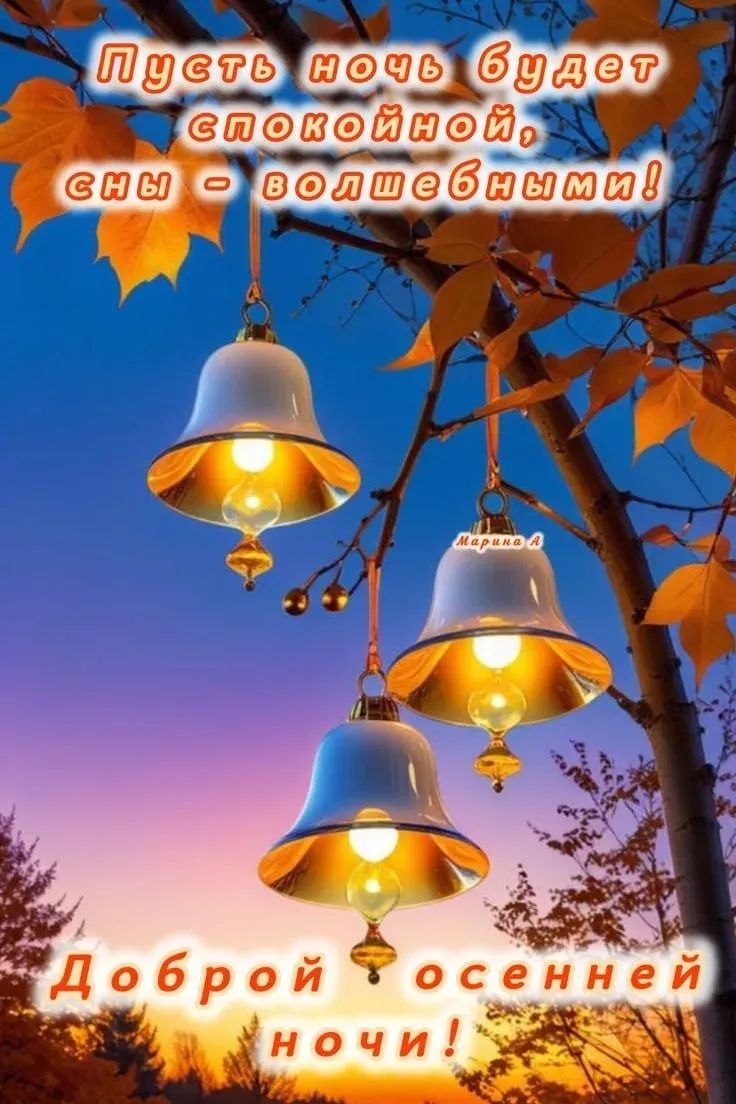 Пусть ночь будет спокойной, сны - волшебными! Доброй осенной ночи!