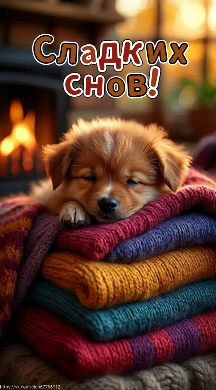 Сладких снов!