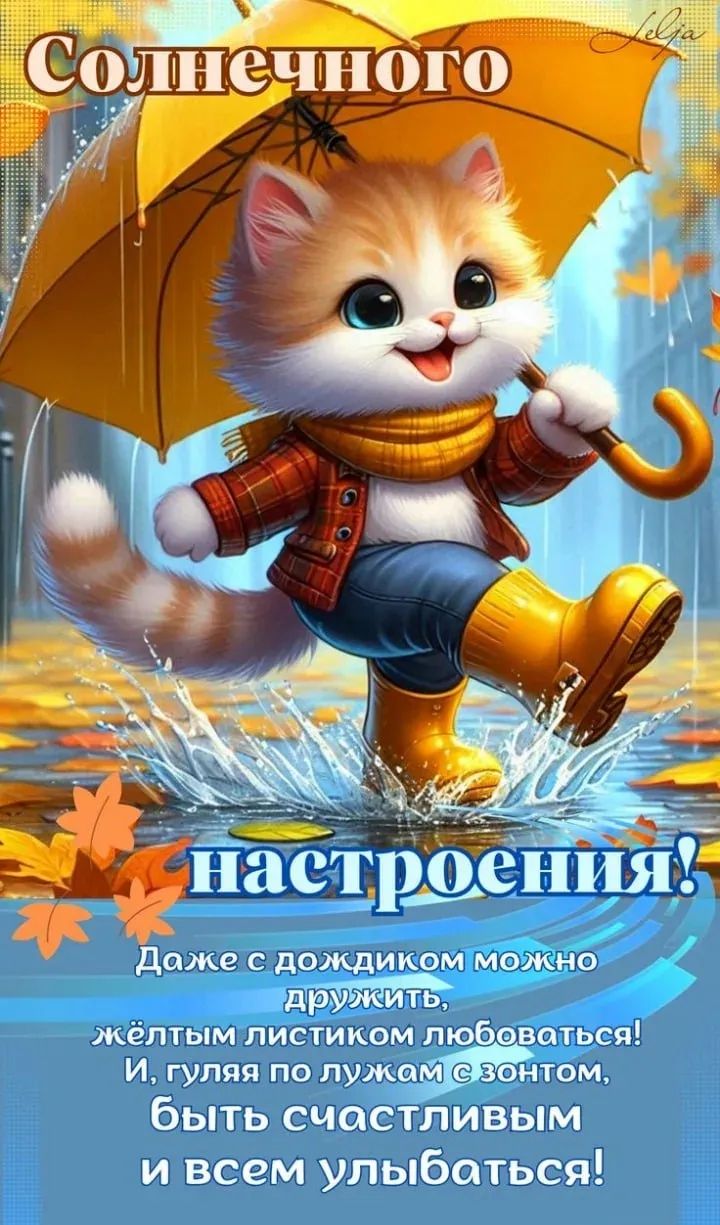 Солнечного настроения! Даже с дождиком можно дружить, желтым листиком любоваться! И, гуляя по лужкам с зонтом, быть счастливым и всем улыбаться!
