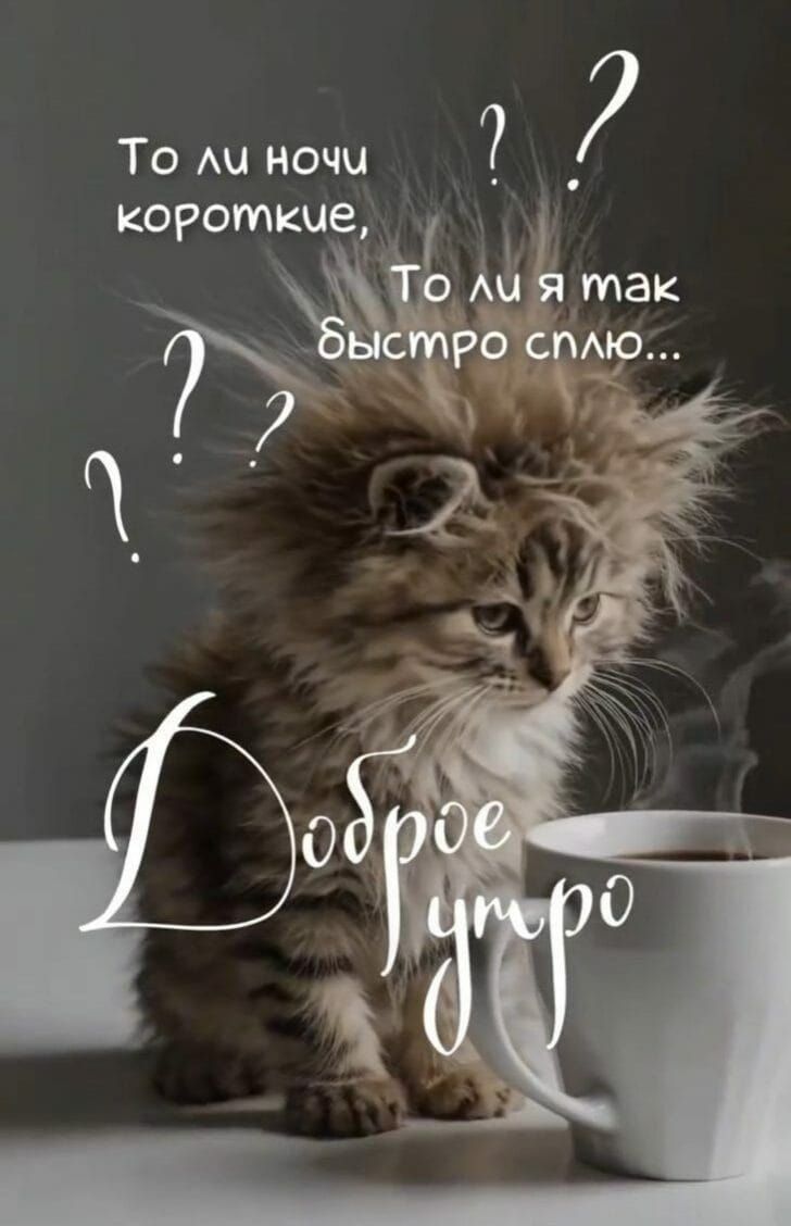 То ли ночи короткие, То ли я так быстро сплю... Доброе утро