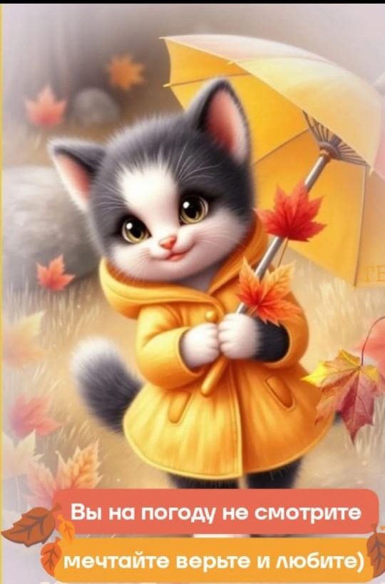 Вы на погоду не смотрите мечтайте верьте и любите
