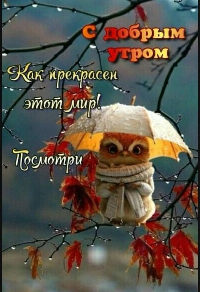 с добрым утром Как прекрасен этот мир! Посмотри
