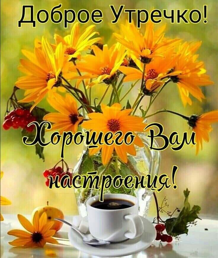Доброе Утречко! Хорошего Вам настроения!