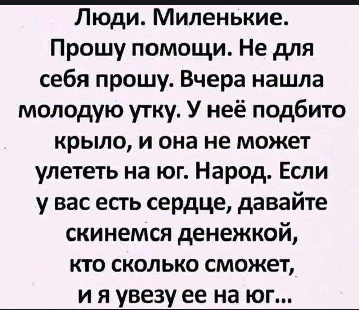 Люди. Миленькие. Прошу помощи. Не для себя прошу. Вчера нашла молодую утку. У неё побито крыло, и она не может улететь на юг. Народ. Если у вас есть сердце, давайте скинемся денежкой, кто сколько сможет, и я увезу ее на юг...