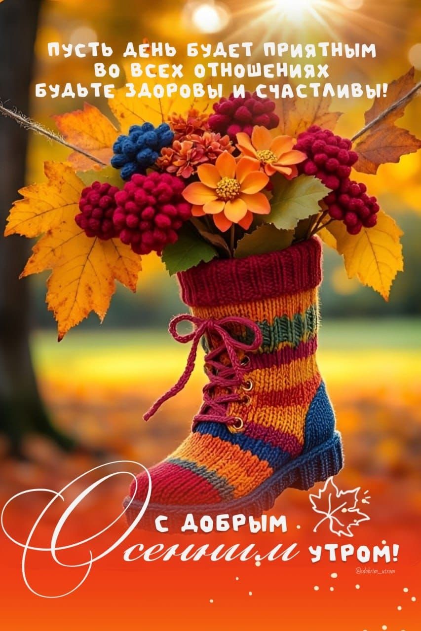 пусть день будет приятным во всех отношениях будьте здоровы и счастливы! С добрым осенним утром!