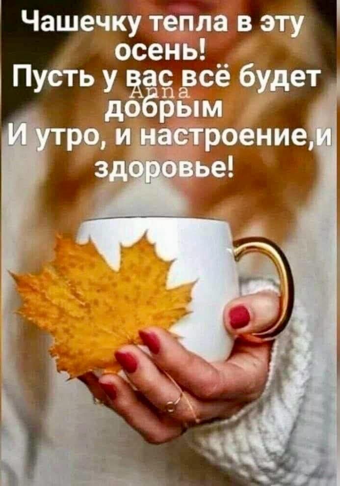 Чашечку тепла в эту осень! Пусть у вас всё будет добрым: утро, настроение и здоровье!