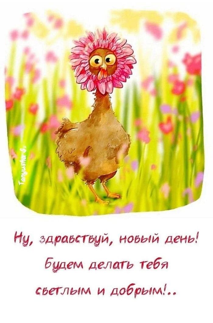 Ну, здравствуйте, новый день! Будем делать тебя светлым и добрым!..