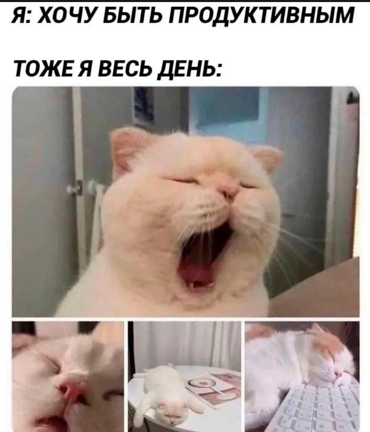 Я: ХОЧУ БЫТЬ ПРОДУКТИВНЫМ ТАКЖЕ Я ВСЕ ДЕНЬ: