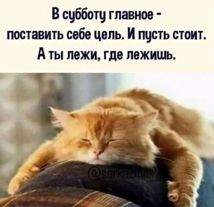 В субботу главное - поставить себе цель. И пусть стоит. А ты лежи, где лежишь.