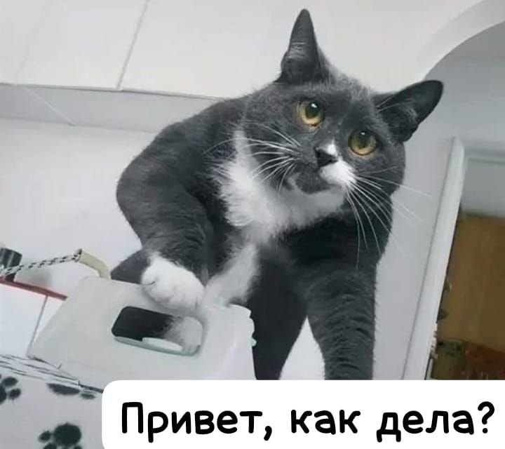 Привет, как дела?