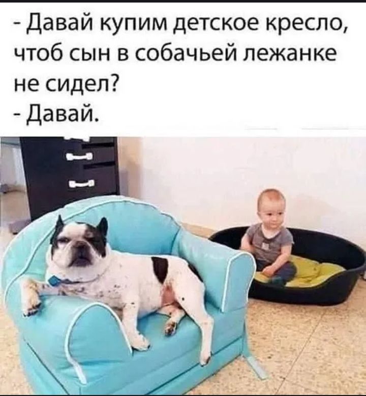 - Давай купим детское кресло, чтобы сын в собачьей лежанке не сидел?\n- Давай.