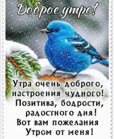 Доброе утро! Утро очень доброго, настроения чудного! Позитива, бодрости, радостного дня! Вот вам пожелания Утром от меня!