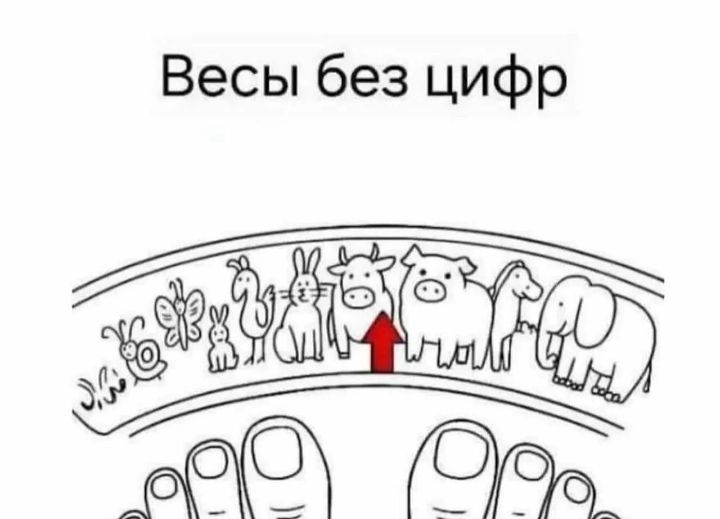 Весы без цифр