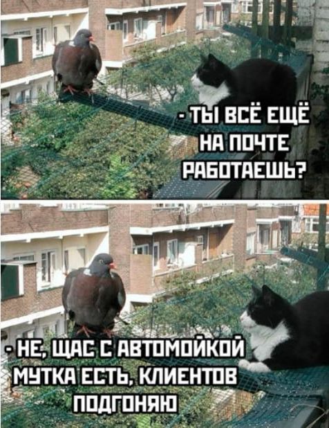 ТЫ ВСЁ ЕЩЕ НА ПОЧТЕ РАБОТАЕШЬ? НЕТ, ЩАС С АВТОМЙПОЙКИ МУТКА ЕСТЬ, КЛИЕНТОВ ПОДГОНЯЮ