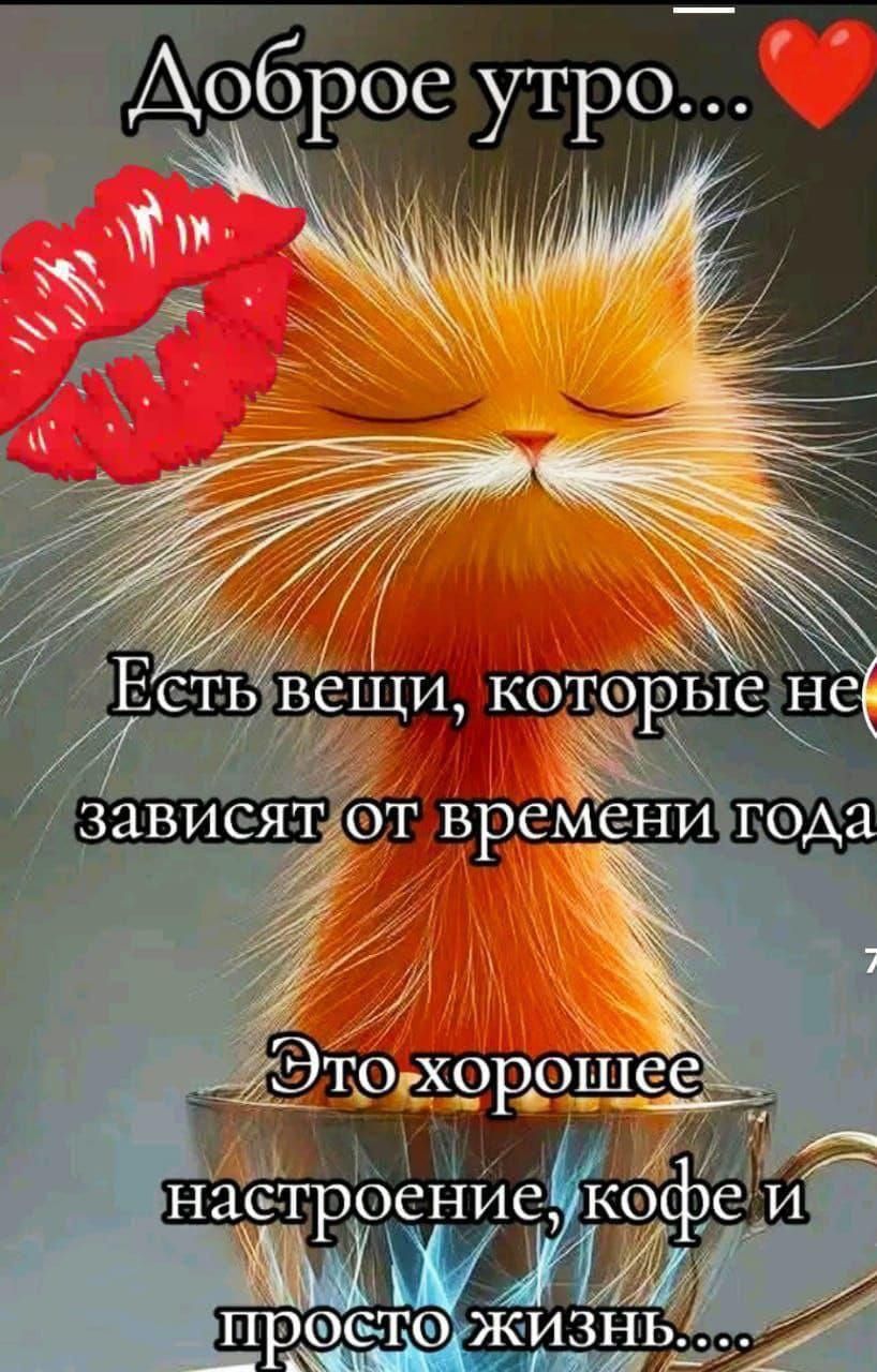 Доброе утро... Есть вещи, которые не зависят от времени года. Это хорошее настроение, кофе и просто жизнь...
