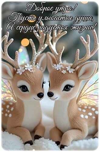 Доброе утро! Пусть улыбка душа, а сердце радуется жизни!