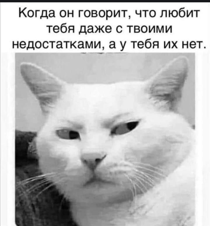 Когда он говорит, что любит тебя даже с твоими недостатками, а у тебя их нет.