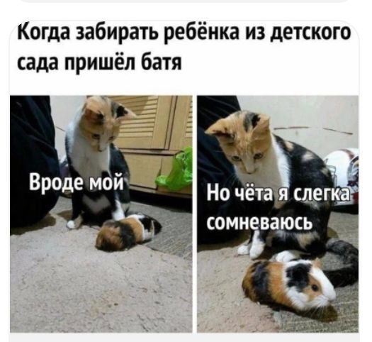 Когда забирать ребёнка из детского сада пришёл батя
Вроде мой
Но чёта я слегка сомневаюсь