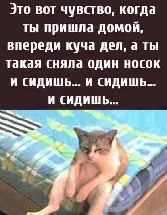 Это вот чувство, когда ты пришла домой, впереди куча дел, а ты такая сняла один носок и сидишь... и сидишь... и сидишь...